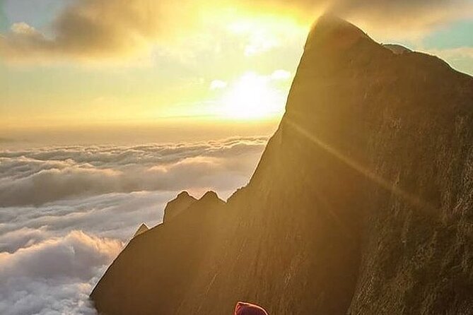 Camping Suriyaneli/Munnar Kerala - Kolukkumalai Sunrise View: Why This Stop Matters