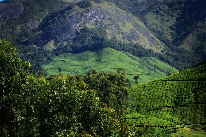 Camping Suriyaneli/Munnar Kerala - Food and Water: Simple, Included, and Actually Filling