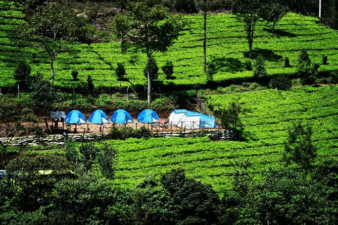 Camping Suriyaneli/Munnar Kerala - The Day Plan: 2 PM Check-In to 12 PM Checkout