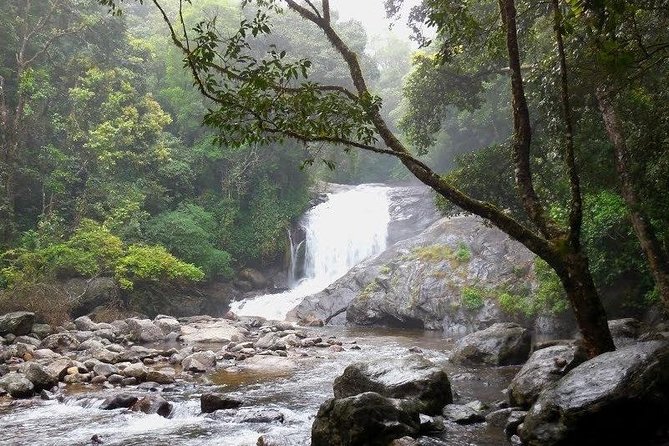 Chinnar Wild-life Visiting Tour (Eravikulam National Park) - Stop 1: Kannan Devan Tea Museum and why it improves the rest of the day