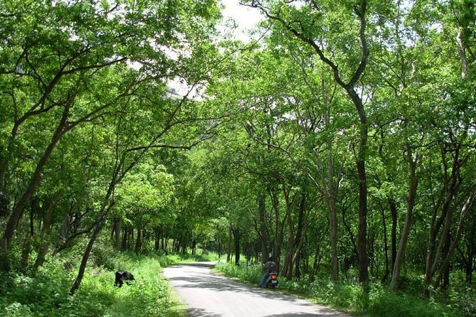 Chinnar Wild-life Visiting Tour (Eravikulam National Park) - Price and what $44.26 per group really buys you