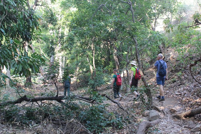 Chinnar wild valley experience day tour ( By Munnar Info) - What You’re Really Getting From This Chinnar–Eravikulam Day
