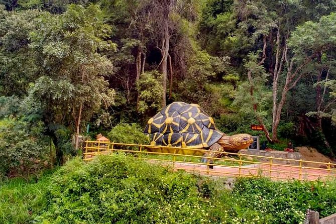 Chinnar wild valley experience day tour ( By Munnar Info) - Price and Value: $79.34 Per Group Plus On-the-Day Costs