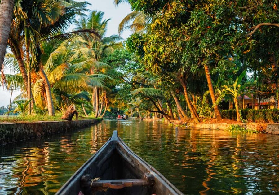 Cochin: 5-Day Kerala Tour with Munnar, Thekkady and Alleppey - Wildlife and tickets: planning makes or breaks Periyar