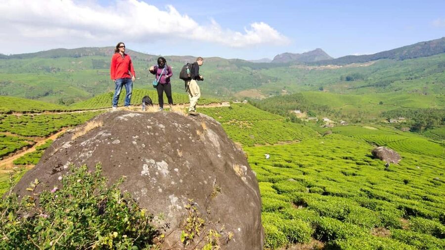Cochin: 5-Day Private Tour of Munnar, Alleppey & Backwaters - Why this Cochin-based loop makes sense