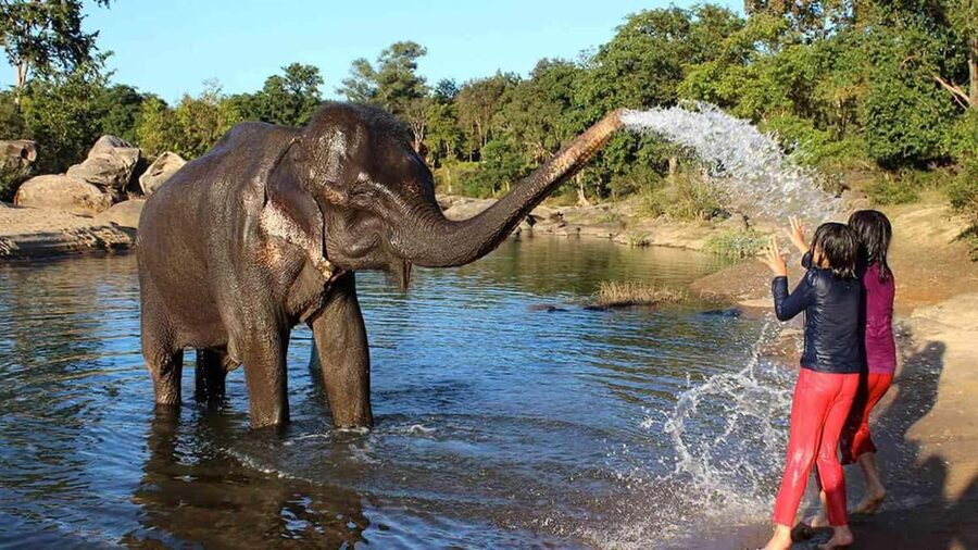 Cochin: 5-Day Private Tour of Munnar, Alleppey & Backwaters - Day 3: Thekkady’s Periyar Lake boat ride and spice farm learning