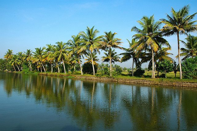 Cochin : Alleppey/Alappuzha Backwater Canoe (Shikara) Cruise - From Cochin to Alleppey: The Straightforward Way to Do the Backwaters