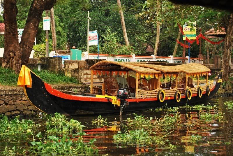 Cochin : Alleppey/Alappuzha Backwater Canoe (Shikara) Cruise - Paddy Fields, Coconut Palms, and Village Life (Yes, It’s the Main Show)