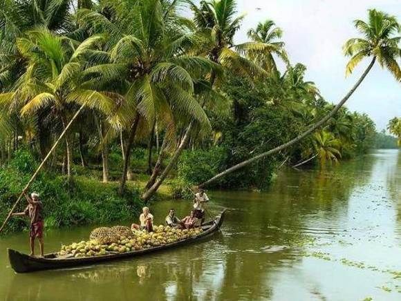 Cochin : Alleppey/Alappuzha Backwater Canoe (Shikara) Cruise - Pickup at Cochin Port (and Why It’s Easier Than You Think)