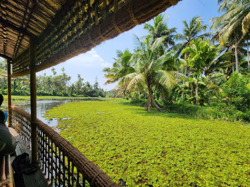 Cochin: Backwater Village Eco Boat Cruise with Lunch - Quick hits before you go