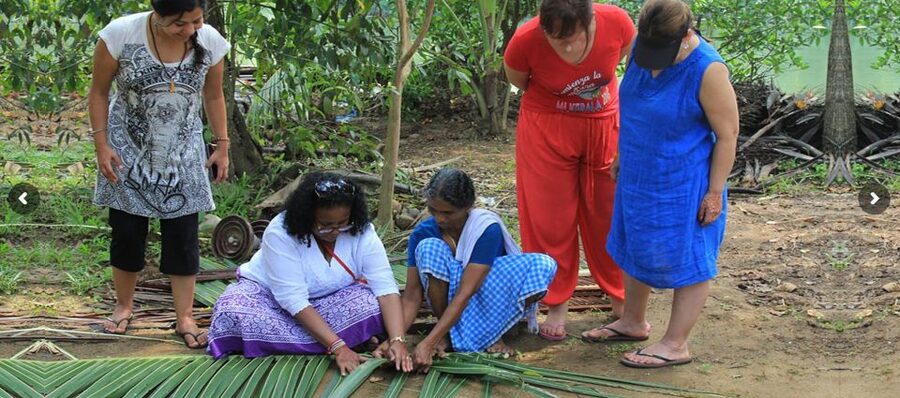 Cochin: Backwater Village Eco Boat Cruise with Lunch - The Motorless Boat: What You’re Really Paying For