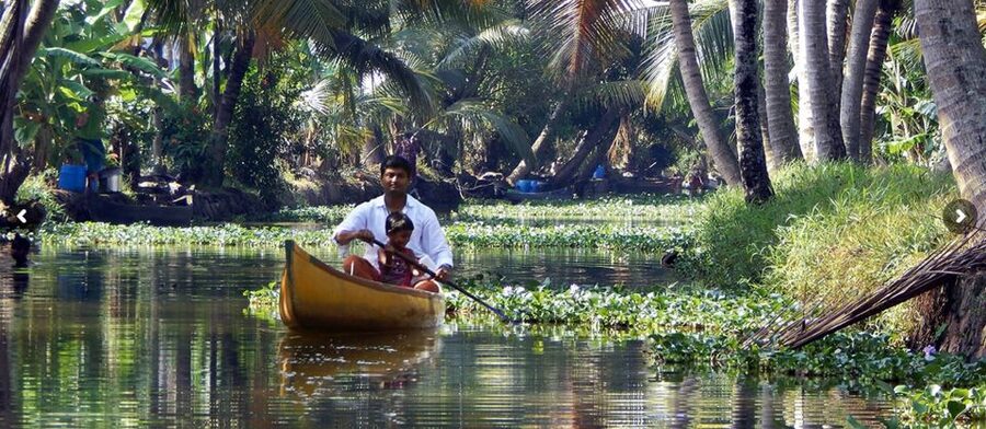 Cochin: Backwater Village Eco Boat Cruise with Lunch - Groups, Boat Variations, and Comfort Details That Matter