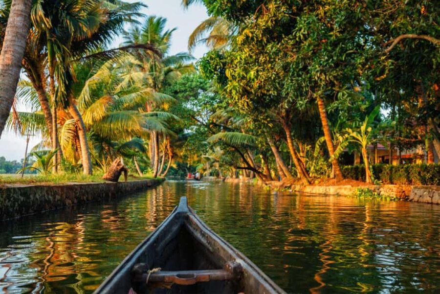 Cochin Backwaters Tour: Eco Boat Ride & Traditional Lunch - Key highlights to look forward to
