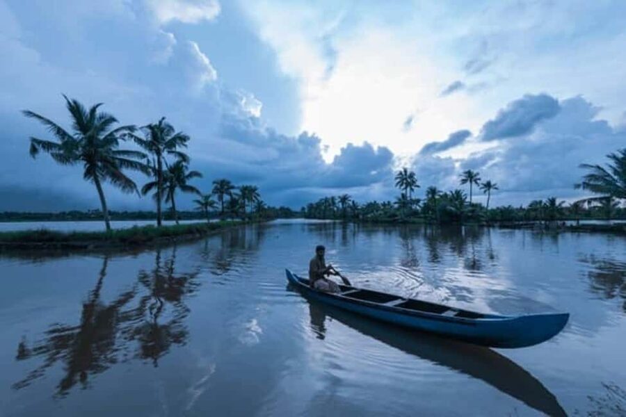 Cochin Backwaters Tour: Eco Boat Ride & Traditional Lunch - The covered country boat ride: calm water, close-up nature
