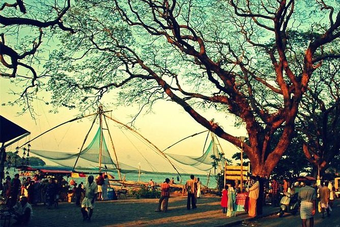 Cochin City or Backwater Shore Excursions from Cruise Terminal - From the Sagarika Terminal to Kochi’s Waterways