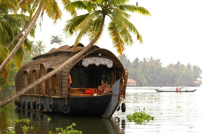 Cochin City or Backwater Shore Excursions from Cruise Terminal - Timing and Transit: The Coach Ride Is Part of the Deal