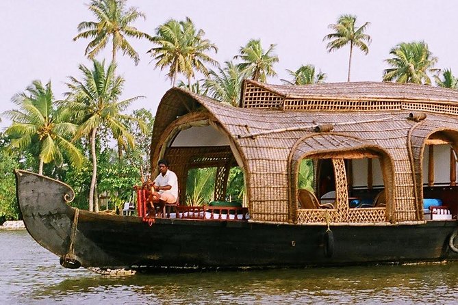 Cochin (Kochi) Shore Excursions from Cruise Terminal Ships Pier - Fort Kochi and the Chinese fishing nets: the photo spot with a purpose