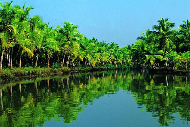 Cochin Shore Excursion: Backwater Houseboat Tour and Chinese Nets - Kerala backwaters + buffet lunch: your best chance to slow down
