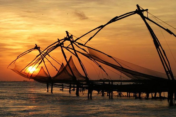 Cochin Shore Excursions from Cruise Terminal - Lunch and snacks onboard: plan your appetite (and your hydration)
