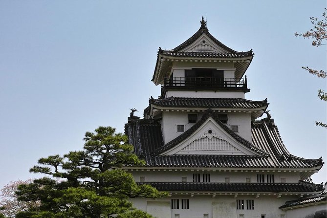Experience the energy of Kochi: Sunday Market Tour includes Kochi Castle - How a Sunday Market tour turns Kochi from pictures into a plan