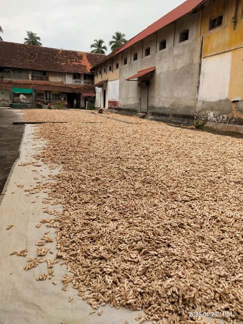 Fortkochi Heritage Walking tour with a local guide - Papadam, candles, and Dhobi Khana laundry: craft history you can see