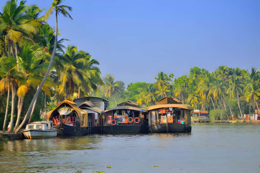 From Cochin: Day Tour of Alleppey houseboat with Lunch - Weather, dress, and practical Kerala tips that keep the day pleasant