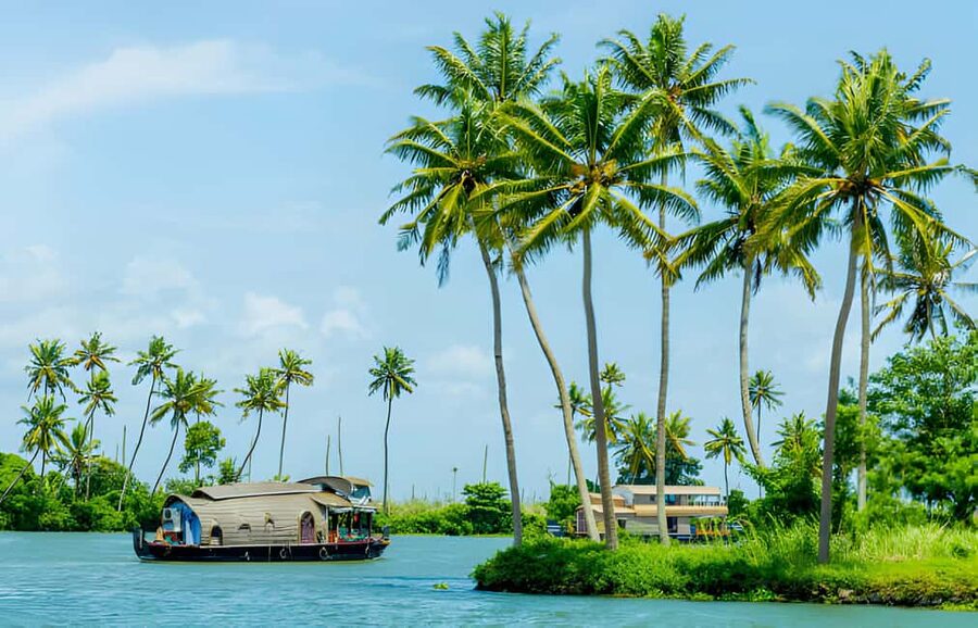 From Cochin: Day Tour of Alleppey houseboat with Lunch - The Cochin-to-Alappuzha drive: sightseeing without turning it into a road trip chore