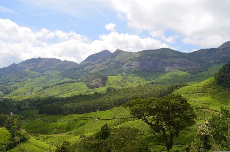 From Cochin: Thekkady 2-Day Tour with Jeep Safari - The price question: is $200 per person fair?