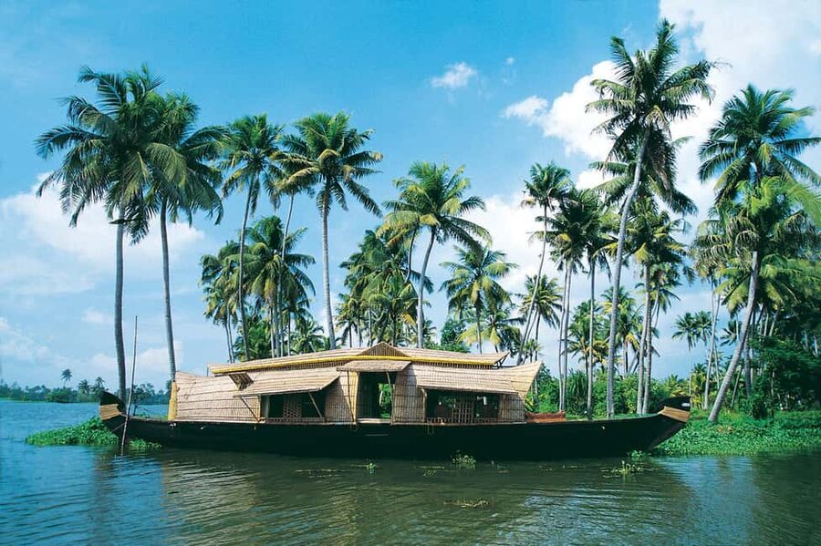 From Kochi: 3-Day Periyar Wildlife Sanctuary Tour - Key things that make this tour worth your time