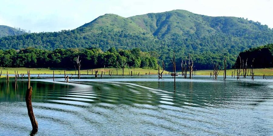 From Kochi: 3-Day Periyar Wildlife Sanctuary Tour - Day 2 morning jeep safari: elephants, sambar deer, and that tiger maybe