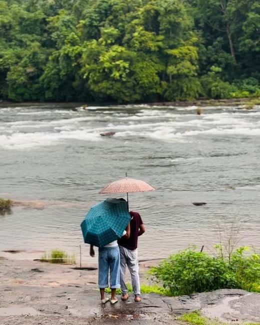 From Kochi: Athirappilly Waterfalls Day Trip with Transfers - The scenic drive: paddy fields, coconut groves, and real Kerala in motion