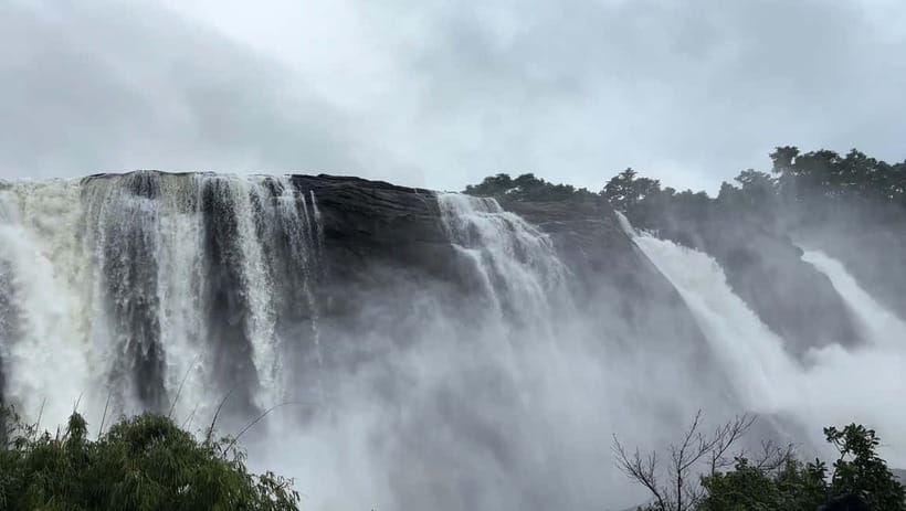 From Kochi: Athirappilly Waterfalls Day Trip with Transfers - Driver + pacing: calm, safe, and flexible help