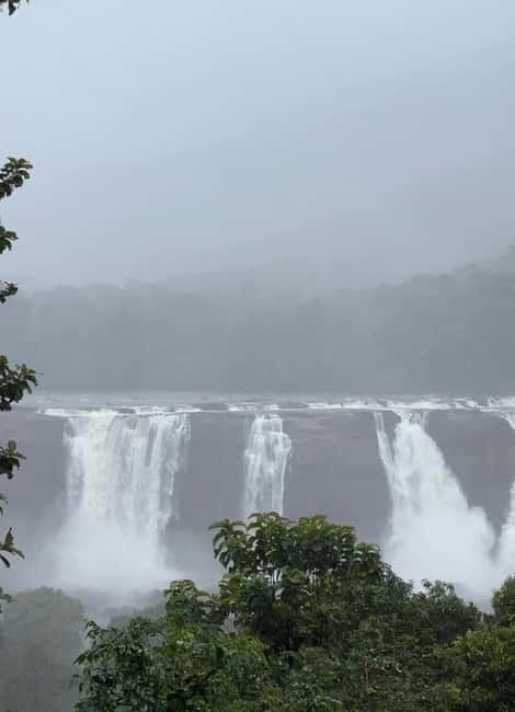 From Kochi: Athirappilly Waterfalls Day Trip with Transfers - What to pack (and what to skip) for a comfortable waterfall day
