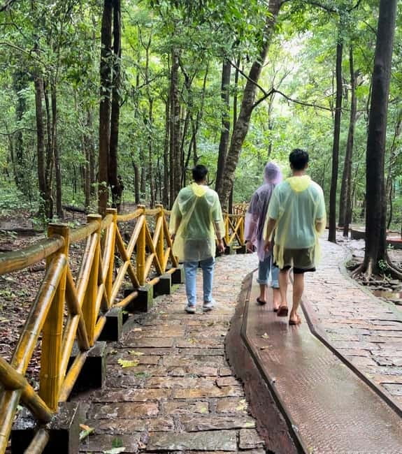 From Kochi: Athirappilly Waterfalls Day Trip with Transfers - Price and value: is $99 per group up to 2 worth it?