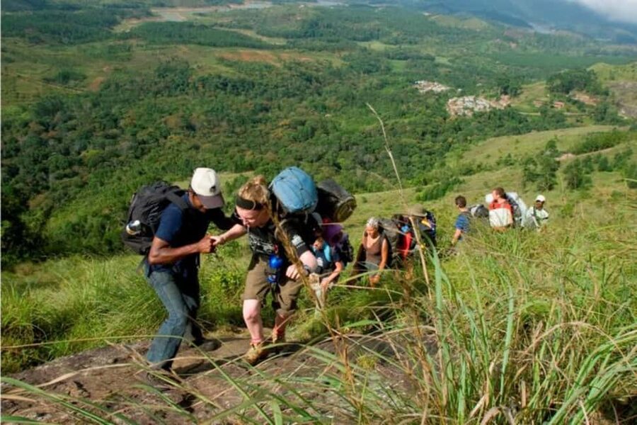 From Munnar: Tea Factory, Plantation, and National Park Tour - Key highlights that make this tour worth your time
