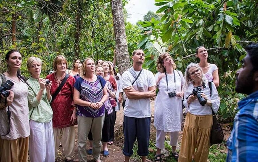 From Munnar: Tea Factory, Plantation, and National Park Tour - How a 10-hour Munnar circuit keeps moving (without feeling chaotic)