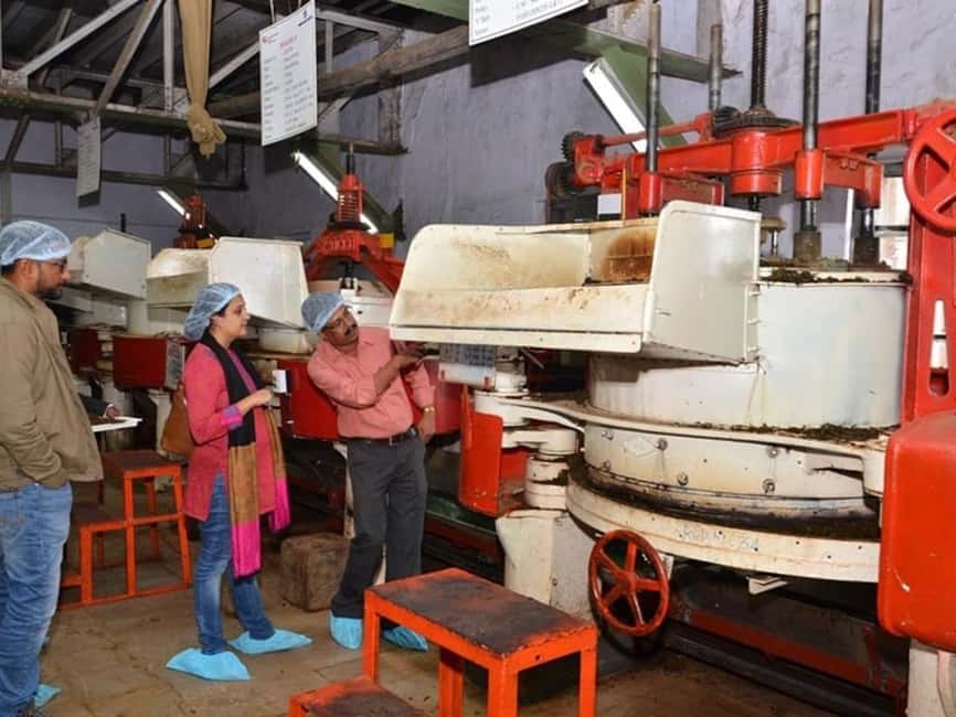 From Munnar: Tea Factory, Plantation, and National Park Tour - Tea Plantation Trek: a short climb that teaches you what to look for