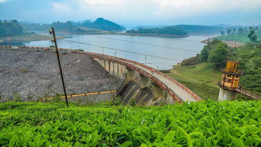 From Munnar: Tea Factory, Plantation, and National Park Tour - Price and value: why $89 can work for your day