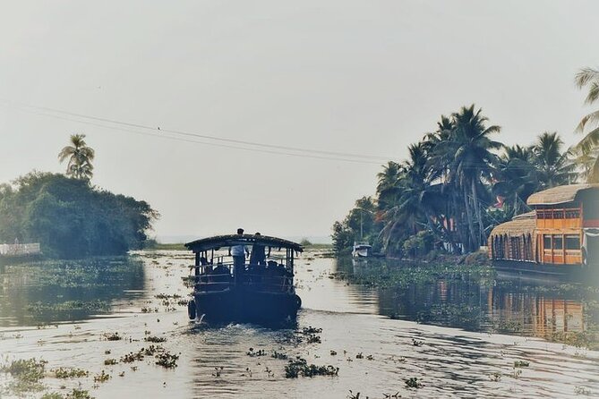 Full Day Canoe Cruise with Village Life and Local Food - Key highlights