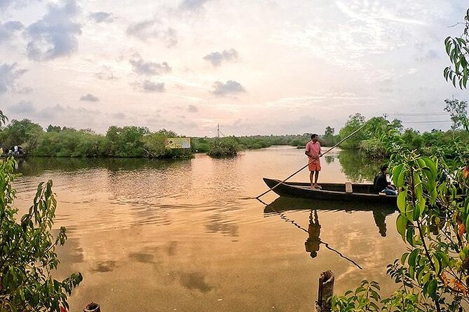 Full Day Canoe Cruise with Village Life and Local Food - Full-day backwaters start at 6:00 am, then keep going