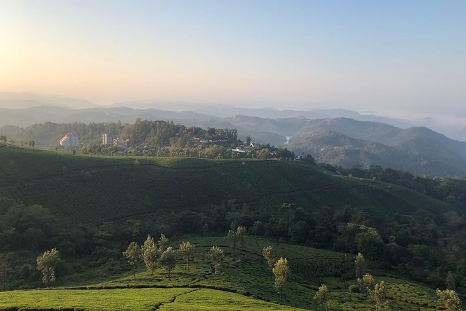 Full day in hiking in Munnar (By Munnar Info) - A Full-Day Munnar Hike: What You’re Actually Signing Up For