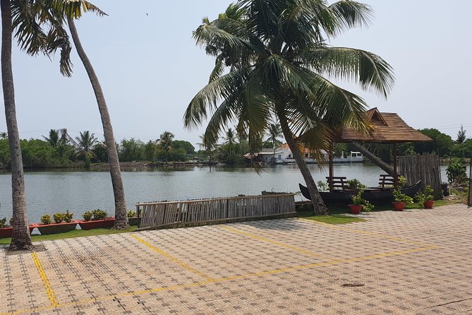 Full Day Kumbalangi Village Tour - Tender coconut, village walking, and farm time