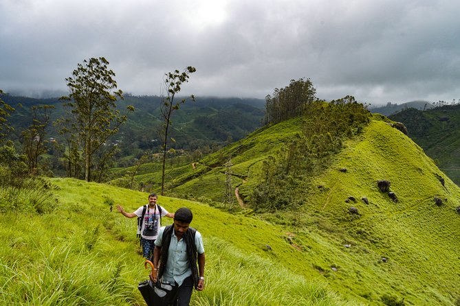 Full-Day Private Tour to Munnar from Kochi with Lunch - Stop 4: Echo Point is quick and more fun than important
