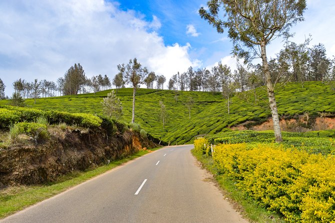 Full-Day Private Tour to Munnar from Kochi with Lunch - Stop 1: Oonnukal to Thodupuzha Road for a veg breakfast break