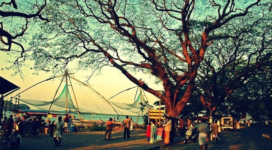 Glimpse of Cochin: Guided Tour - Churches Along the Route: Santa Cruz Basilica and St Francis Church