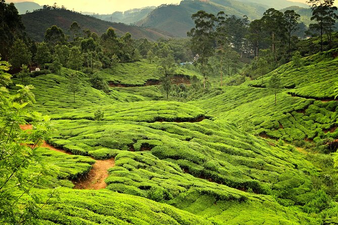 God's Own Country - KERALA (8 Days private trip) - Kathakali and Kalaripayattu: culture included, not an optional add-on