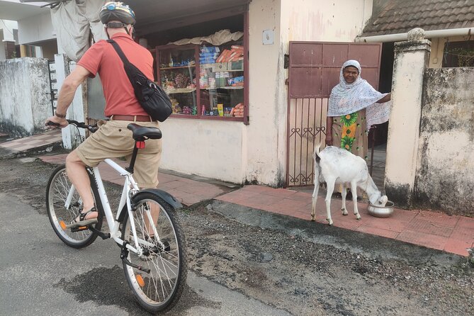Good Morning Kochi Bicycle Tour - Meeting at Santa Cruz Cathedral Basilica: find the easy pin