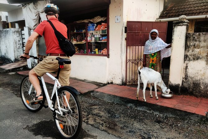 Good Morning Kochi Bicycle Tour - Cherlai in Mattancherry: markets and narrow lanes at a calmer tempo