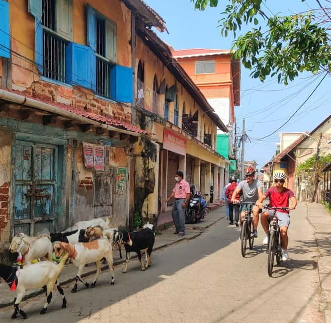 Good Morning Kochi Bicycle Tour - European Jewish Quarter and Bazaar Road: spice warehouses in context