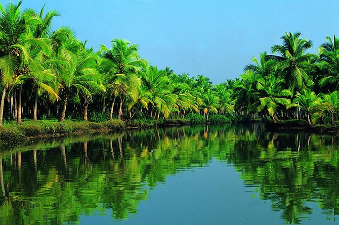 Group Shore Excursion from Cochin Port - From Cochin Port to Fort Kochi: how the timing feels in real life